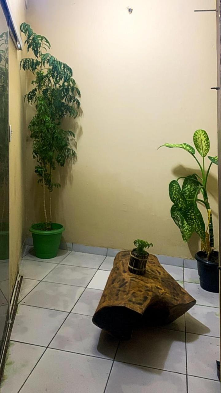 Pousada Shalom E Hostel Holly Land Santo Amaro do Maranhao Exterior photo